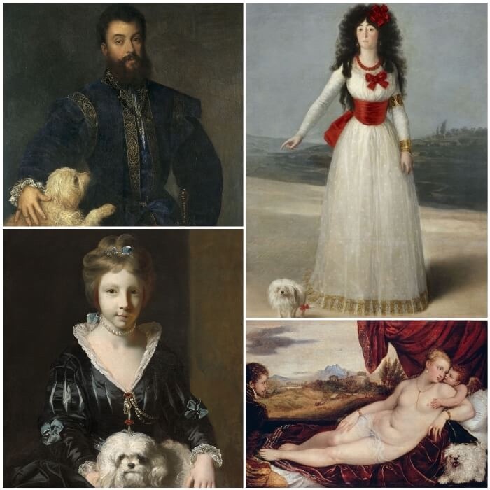 el-bichón-frisé-en-el-arte-antiguo